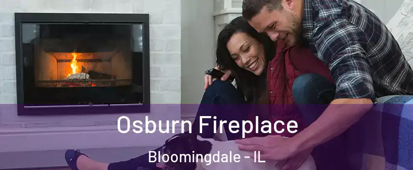  Osburn Fireplace Bloomingdale - IL