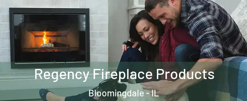  Regency Fireplace Products Bloomingdale - IL